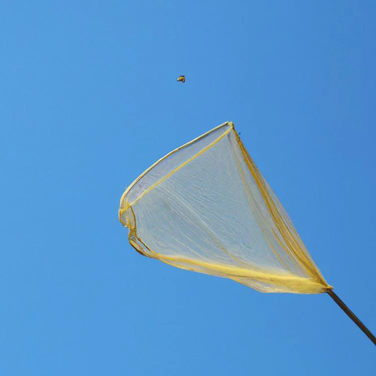 Ile żyje motyl?