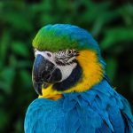 zoo egzotyczne kaszuby
